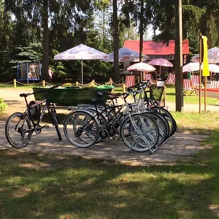 Borowiak